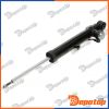 Amortisseur de suspension arrière droite pour OPEL | A-PL-066, 13319750